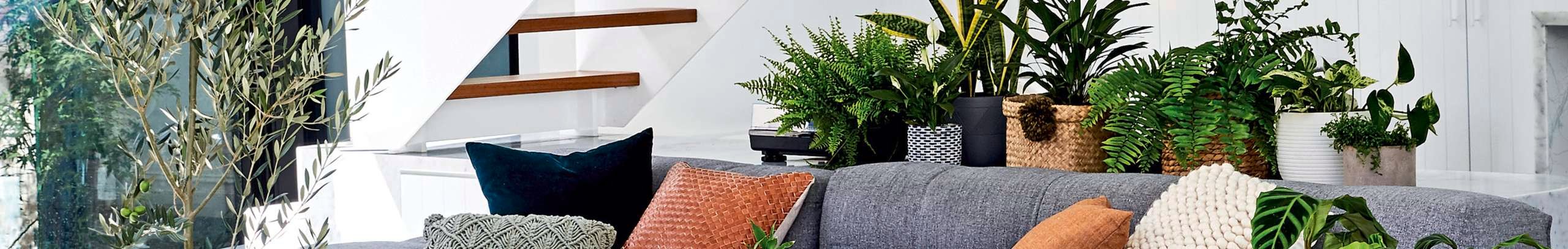 Living room with couch and coffee table, and full of indoor plants.