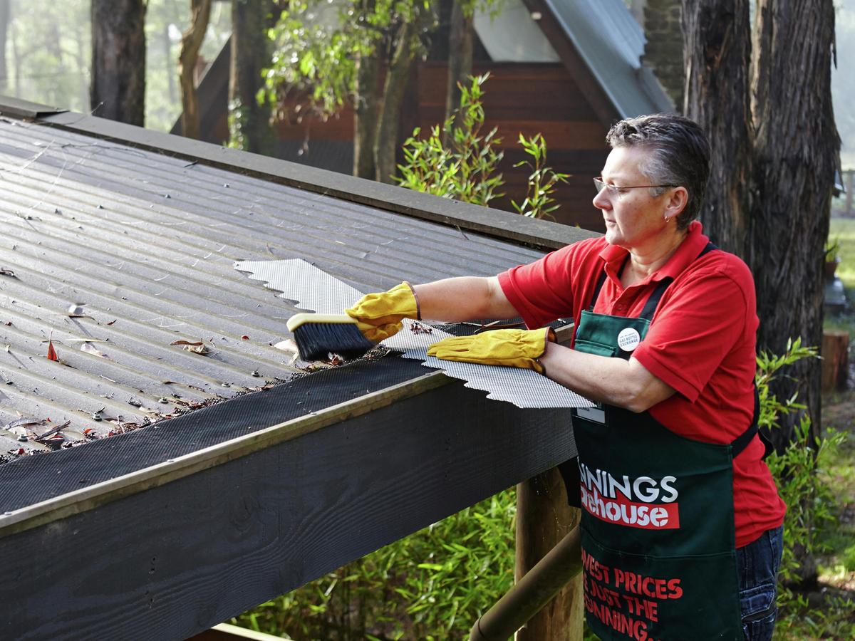How To Prepare For The Bushfire Season - Bunnings Australia