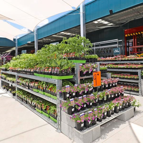 Mt Isa nursery yard