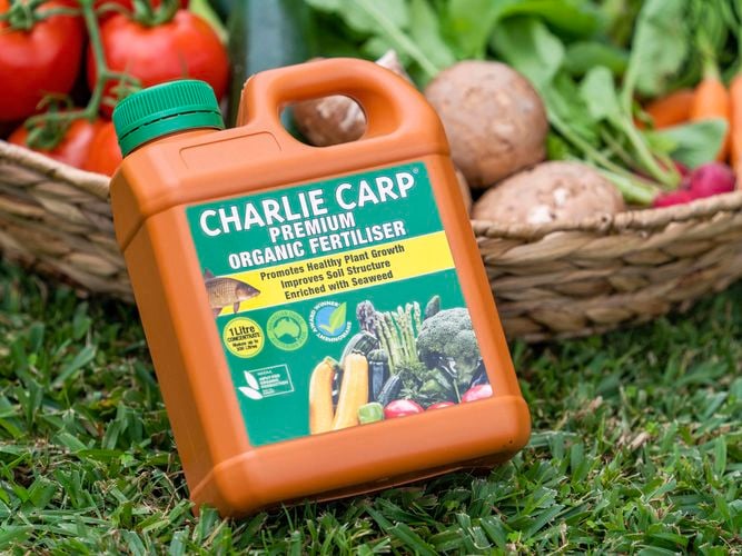Charlie
  Carp Premium Organic Fertiliser 3020034