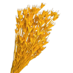 Blooms Of Joy 50cm Yellow Nigella Flowers