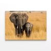 Elephant & Its Calf Standing  Print 100% Australian Made 90 x 60cm  (Stretched)