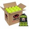 100pcs Lobster Pickleball Balls With Free  1 Box Usapa Approved Yellow