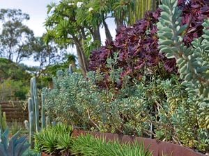 DIY Advice Image - How to create a low-water garden . G Drive blob storage upload.