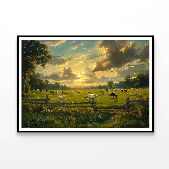 Herd of Cows Grazing In a Field  Print 100% Australian Made 90x60cm  (Poster)