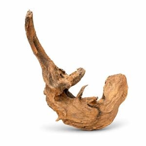 Red Driftwood Aquarium Wood Natural Aquascaping 20-30cm