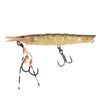 Jackson Ebi Panic 70mm Hard Body Topwater Fishing Lure WDS