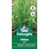 Fothergill's Garlic Chives Herb Seeds