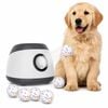 Advwin Automatic Dog Ball Launcher Remote Controls with 6 Tennis