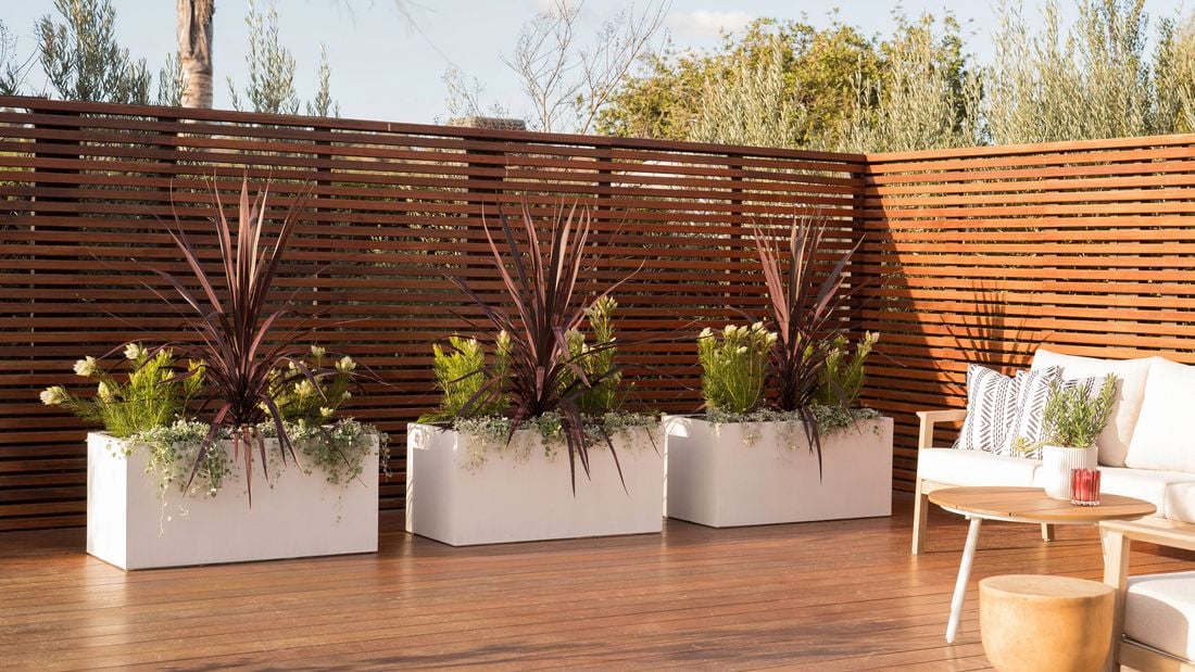 A modern outdoor entertainment area features planters with tall burgundy and green plants with cozy seating and wooden furniture.