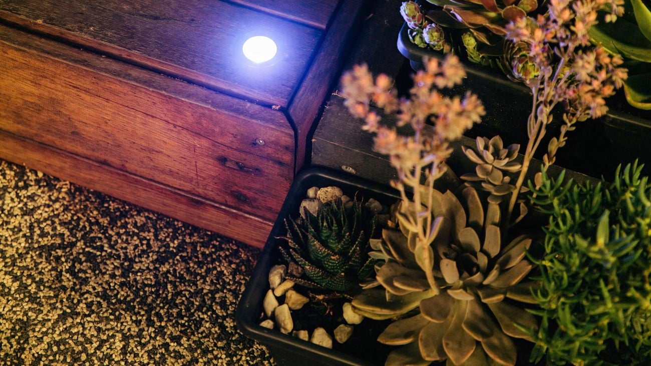 Deck with deck light and succulents.