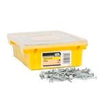 NZ Nails 40 x 2.5mm 2kg Galvanised Clout Head Nails