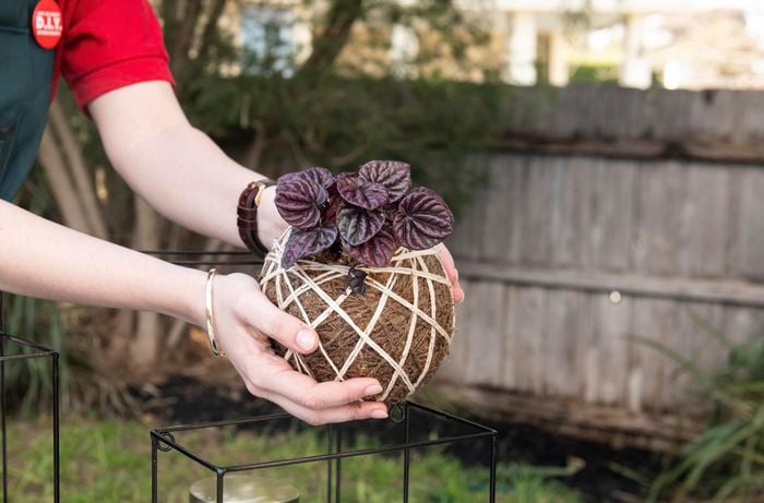DIY Advice Image - How to make a kokedama plant hanger. G Drive blob storage upload.