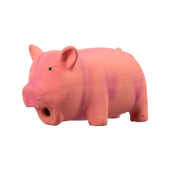 Happy Tails Oinking Pig Chew Toy
