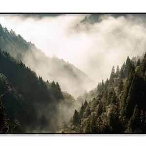 Fog In Forest & Mountain View  Print 100% Australian Made 90x60cm  (Poster)