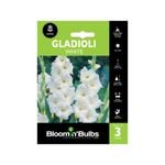 Bloomin' Bulbs Gladioli White Bulbs - 3 Pack