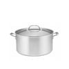 Essteele Eternita Clad Stainless Steel Induction Covered Stockpot 26cm - 7.6L