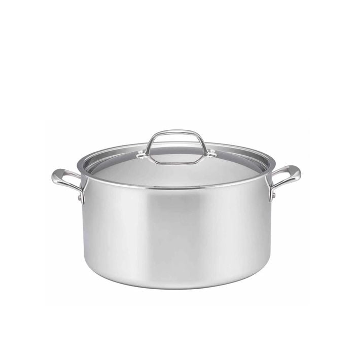 Essteele Eternita Clad Stainless Steel Induction Covered Stockpot 26cm - 7.6L