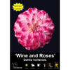 Yarra Valley Bulbs Wine And Roses - 1 Pack