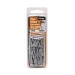 Paslode 40 x 2.0 100g Galvanised Flat Head Nails - 80 Pack