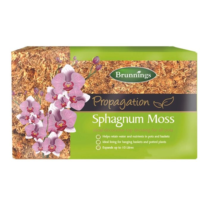 Brunnings 150g Sphagnum Moss Block