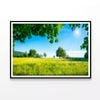 Meadow with Trees in Sunshine  Print 100% Australian Made 90x60cm  (Poster)