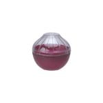 All Set Onion Shaped Container