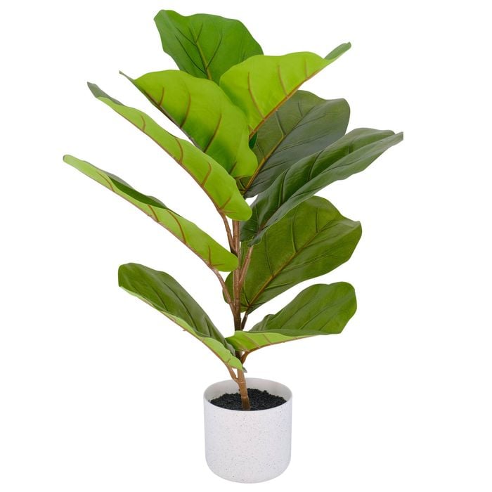 Un-Real 65cm Artificial Fiddle Leaf Fig