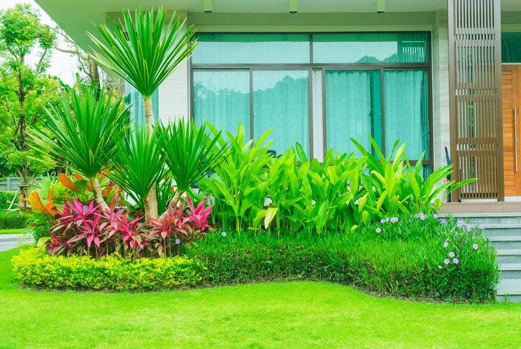 A vibrant green garden bed and lawn