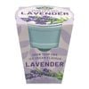 Mr Fothergill’s Lavender Ice Cream Flavour Grow Kit