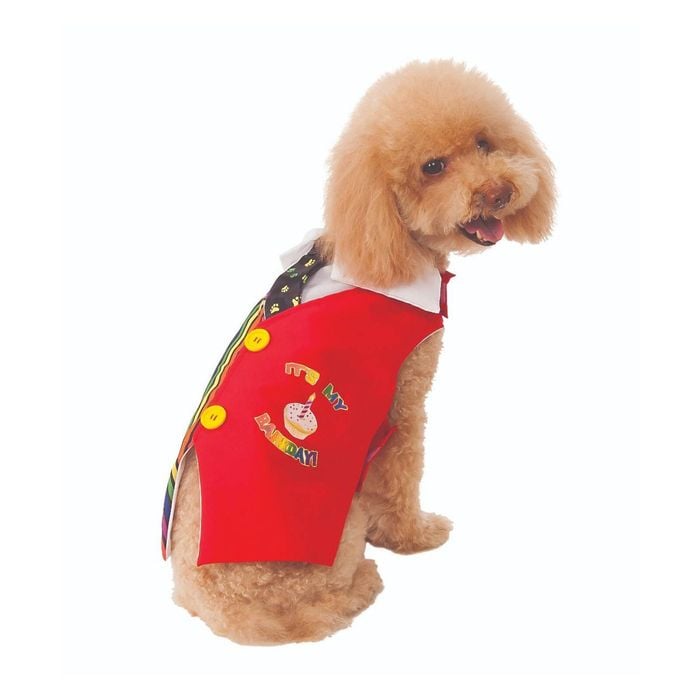 Rubies Barkday Vest Pet/Dog/Cat Animal Fancy Dress Up Party Costume Size S