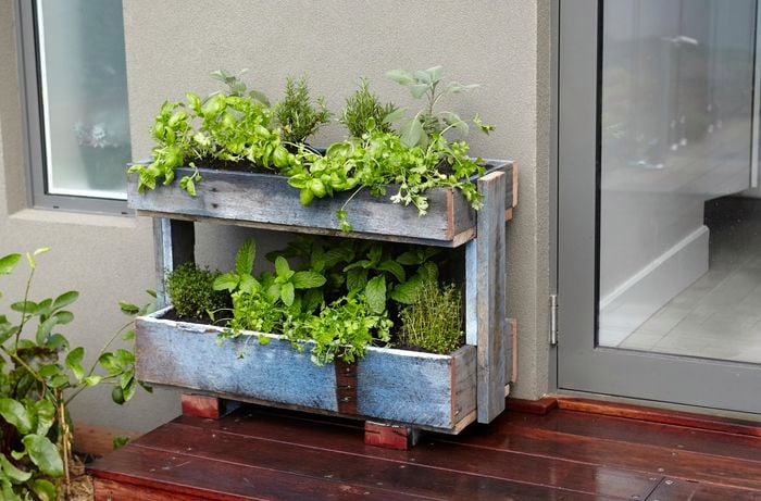 A completed herb planter built from a recycled pallet, containing several herb plants, positioned on a deck outside
