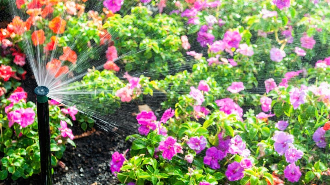Sprinkler system up and in use in garden bed