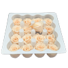 Blooms of Joy 2.5cm Cream Spray Roses 16 Pack