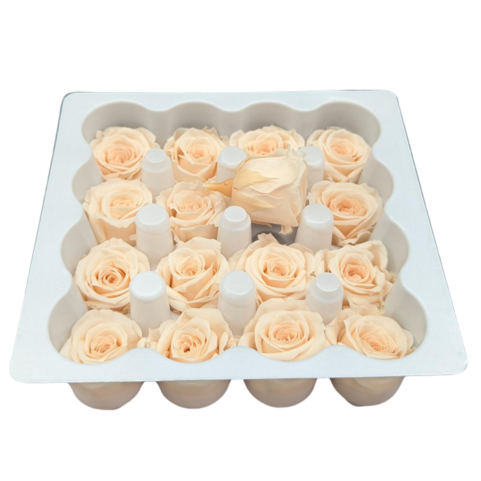 Blooms of Joy 2.5cm Cream Spray Roses 16 Pack
