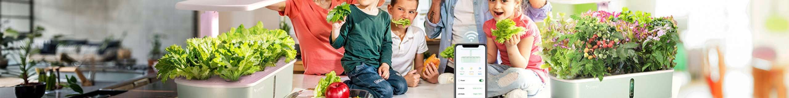 Letpot header image of Hydroponic Gardens in shot