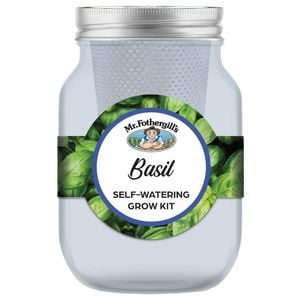 Mr Fothergill's Self Watering Mason Jar Grow Kit- Basil