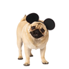 Disney - Mickey Mouse Headband For Dogs - Size Small-medium