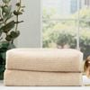 Renee Taylor Cobblestone 2 Pack Stone Bath Sheet