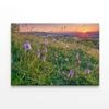 Grassland with Orchids, Mountains  Print 100% Australian Made 120 x 90cm  (Stretched)