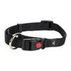 Flamingo Small Black Ziggi Dog Collar