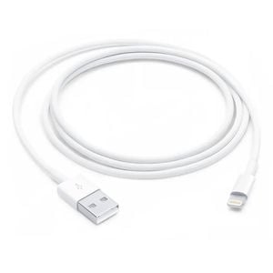 Apple Lightning to USB Cable (1 m)