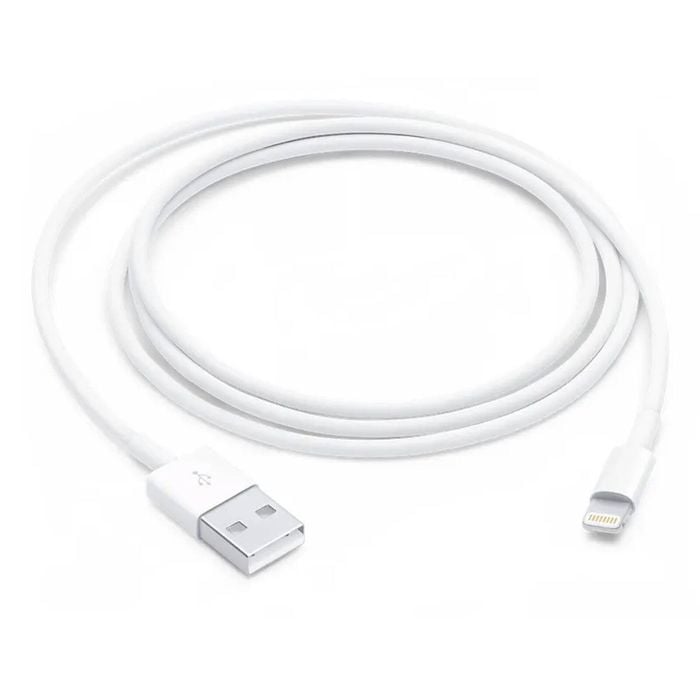 Apple Lightning to USB Cable (1 m)