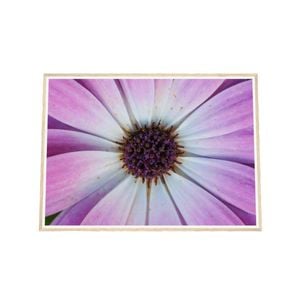 Galrie Vibrant Violet Pollen Fine Art Prints for Home Decor, Wood Frame, A0 84 x 119cm (33 x 47inch)