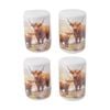 2pk 2pc Macneil Highland Cow Ceramic Salt Pepper Shakers Container Set 5cm