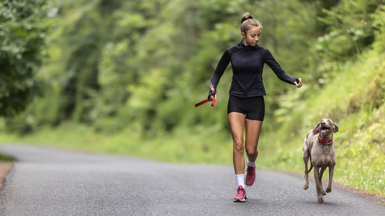 A woman in black athletic wear walking on a paved path with a grey Weimaraner dog.