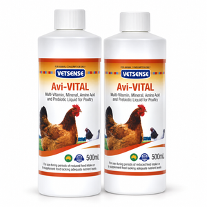 Vetsense Avi-VITAL 500mL 2 Pack | 1L Poultry Vitamins