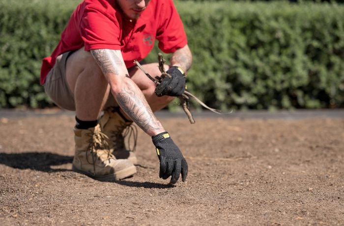 A Bunnings Team Member is preparing the area by clearing grass, small debris, and other materials while holding a few sticks.
