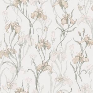 Wallpaper Trader Iris Wallpaper Roll 10.05m X 53cm, Light Pink