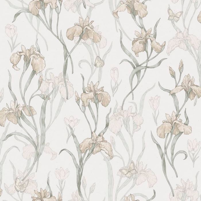 Wallpaper Trader Iris Wallpaper Roll 10.05m X 53cm, Light Pink